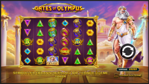 Gates of Olympus Oyna